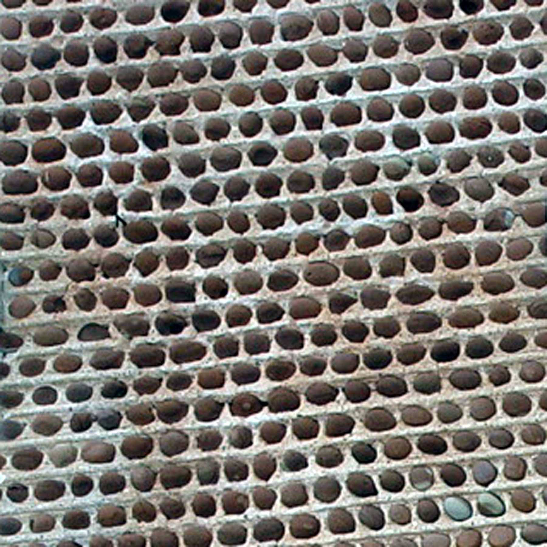 460431338 2747850078721933 4633286791815526146 n